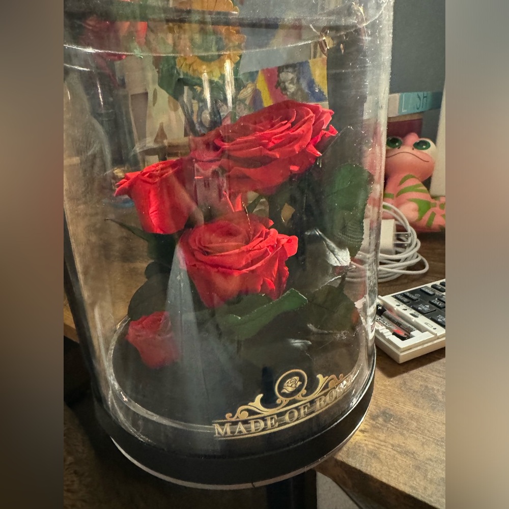 Eternal Roses - Picture 3 of 4